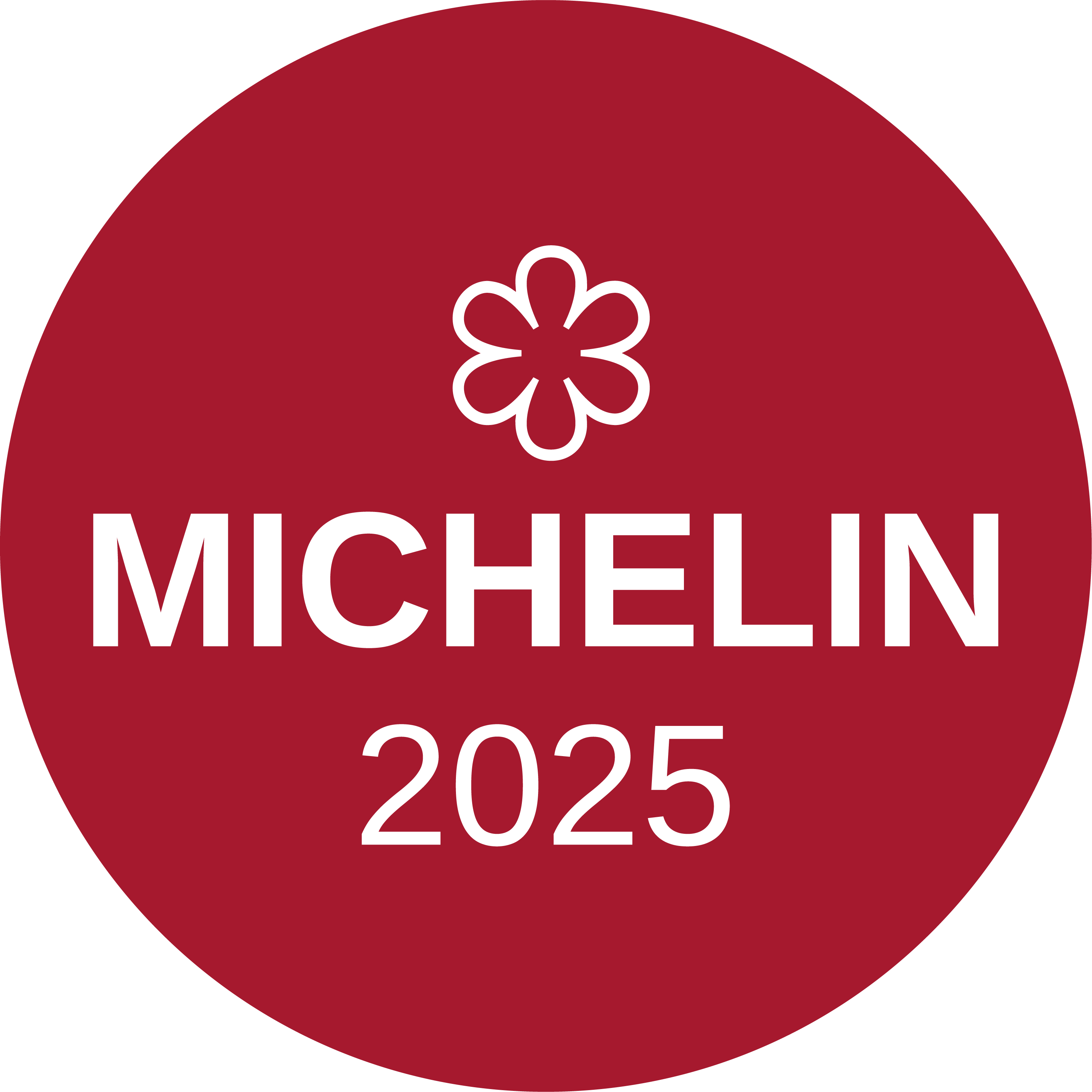 Michelin Star