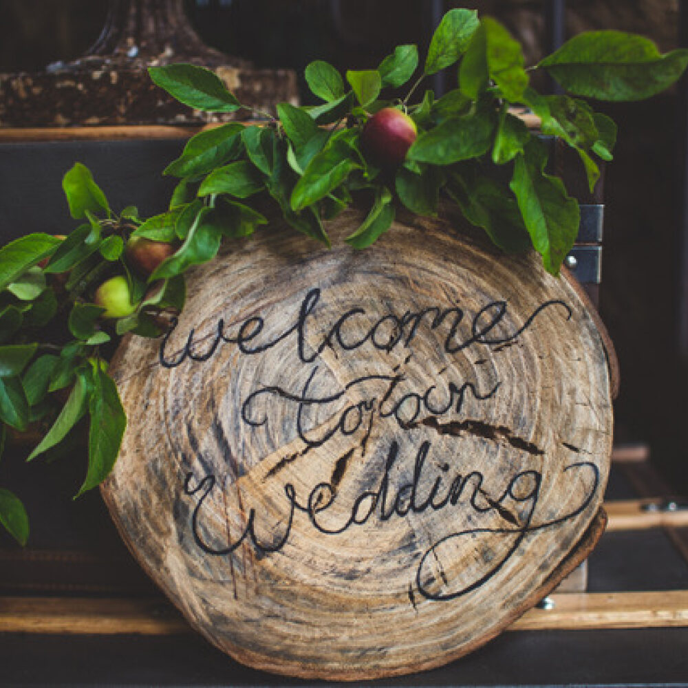 Welcome to our wedding written on a log